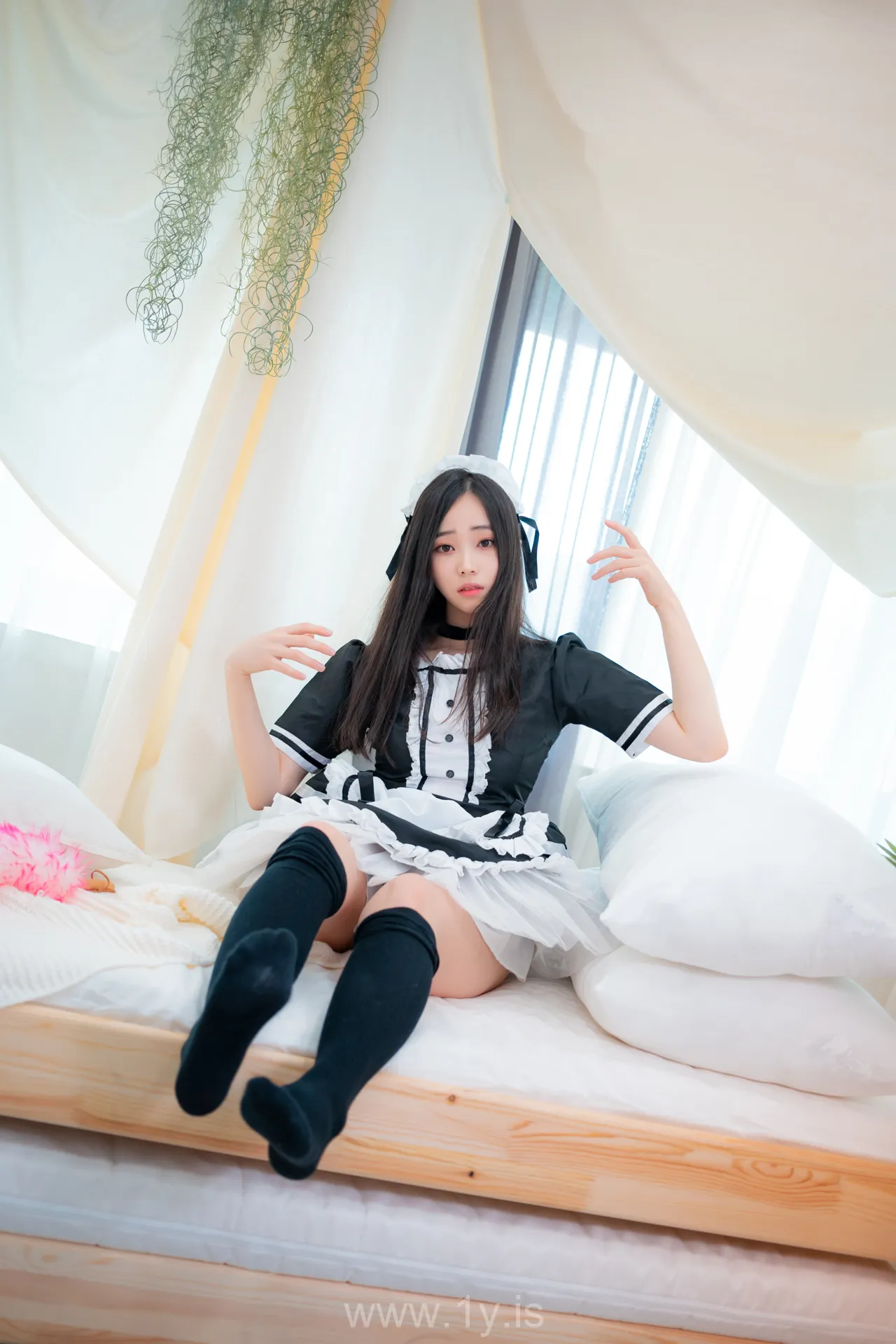 BamBi(밤비) NO.59 [CREAMSODA] Over knee socks